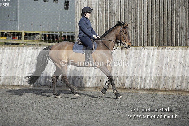 BVRC 050320 0001 - Bourne Valley riding Club Show Jumping Tidworth 08/03/20