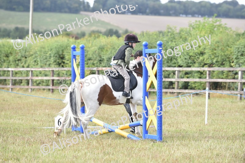 20250831-0485 - Class 7 - Absolute Novice 35cm