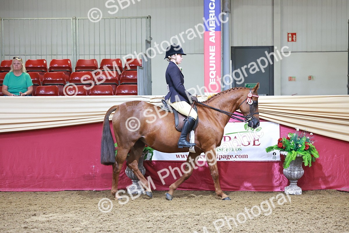 SBM_11781 - Class 102 - Equitation (Best Rider) Adult