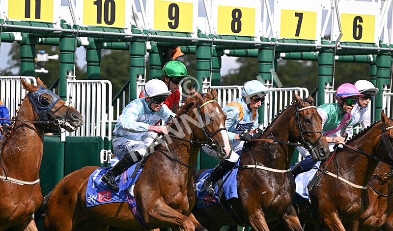 220826-034 Steel Raven - Race 2 14.25pm Sky Bet Melrose Handicap