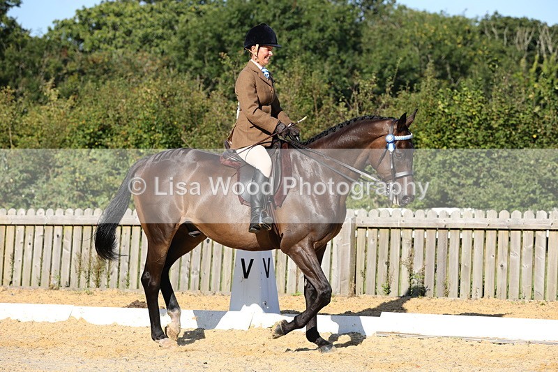 1X9A7538 - Class 7: Novice Ridden Hunter/Hack/Cob/Riding Horse