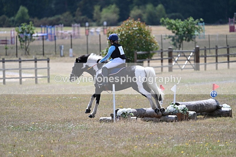 WJ7_0264 - 40cm Time 11:47 to 12:01