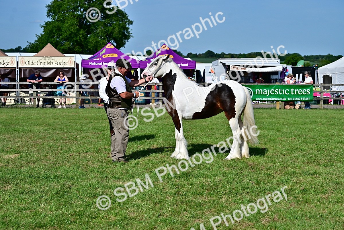 SBM_10032 - Class 63-65 - Traditional Gypsy Cobs In Hand & Ridden