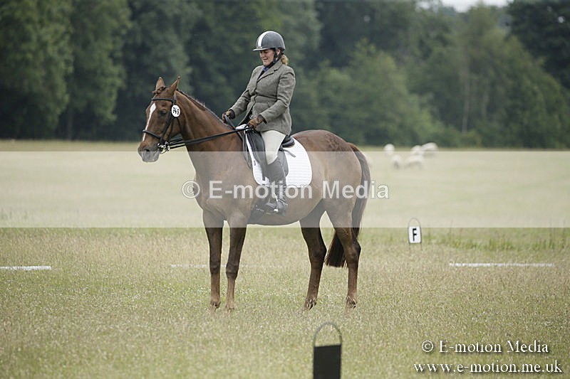 B230619-0784 - Bourne Valley Riding Club Summer Show 23/06/19