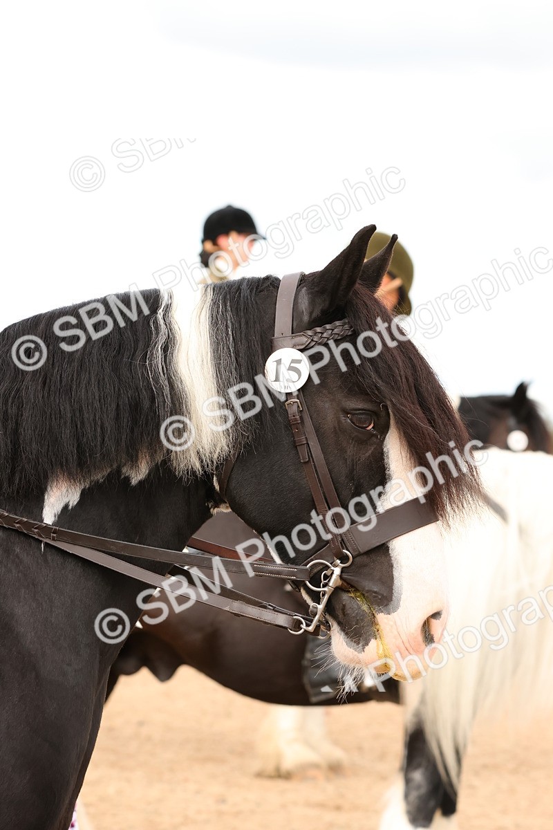 SBM_15683 - Class 215 - Ridden Traditional - Native Cobs