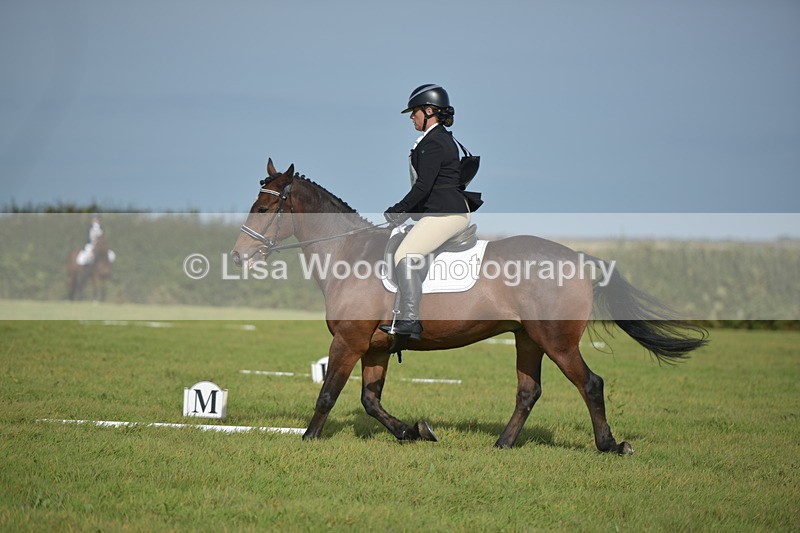 RAY_7732 - Class 2B: Trekenning Open: Dressage