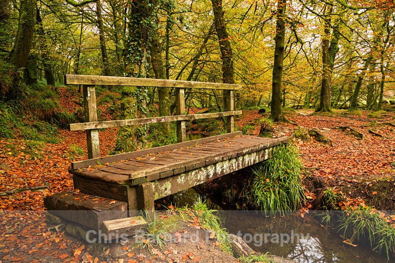 LH0A8361sm - Golitha Falls