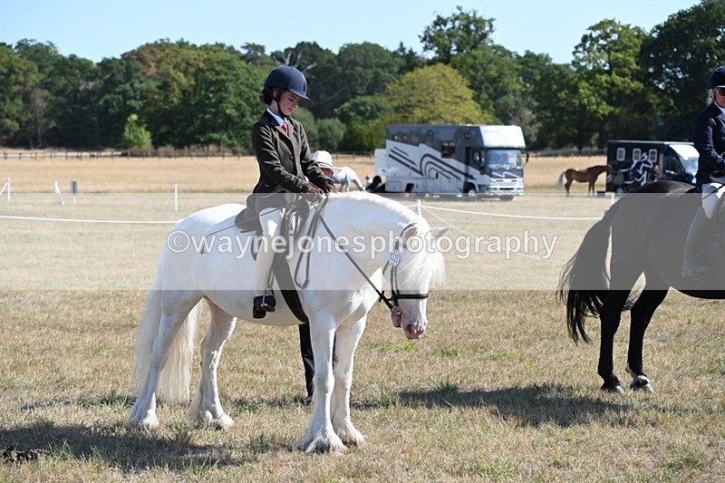 WJ6_7631 - Class 34 Judges Choice