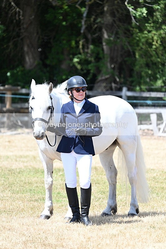 WJ7_2398 - Class 5a Most Handsome Gelding in hand (above 14.2hh)