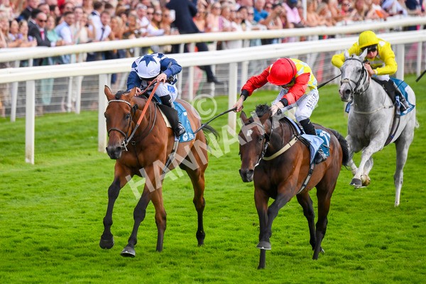 290723-Race 5-Baez-0825 - Race 5 4.35pm Sky Bet Prize Drop Handicap