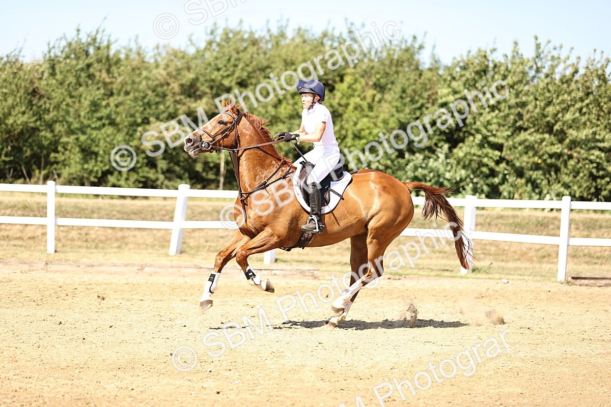 SBM_015471 - Class 16 - Senior foxhunter - 1.20m Open