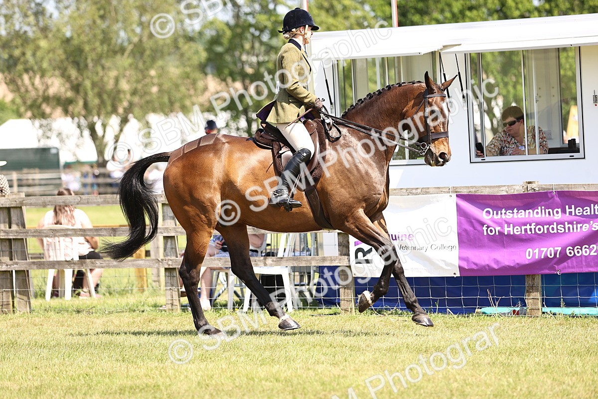 SBM_15072 - Class 79-80 - LIHS BSHA Rising Star Ridden Hunter