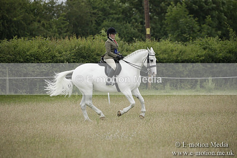 B230619-0805 - Bourne Valley Riding Club Summer Show 23/06/19