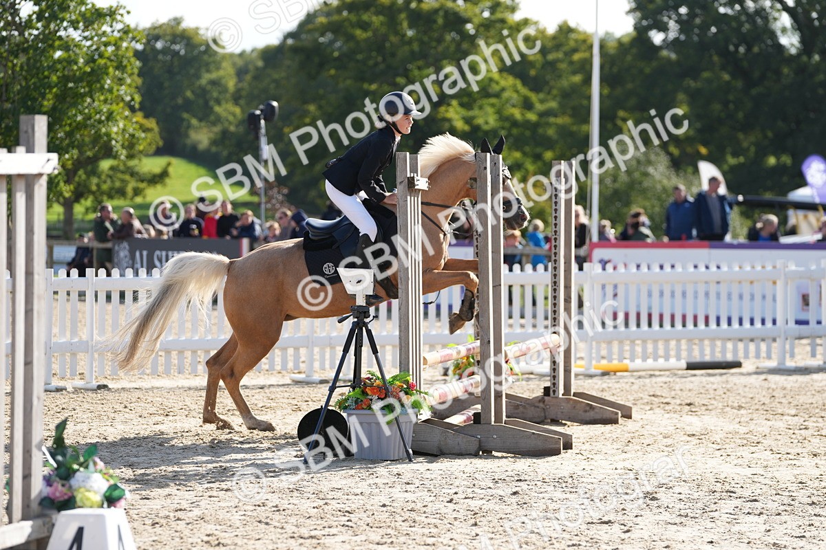 SBM_49253 - J8 - Junior Pony 65cm Championship
