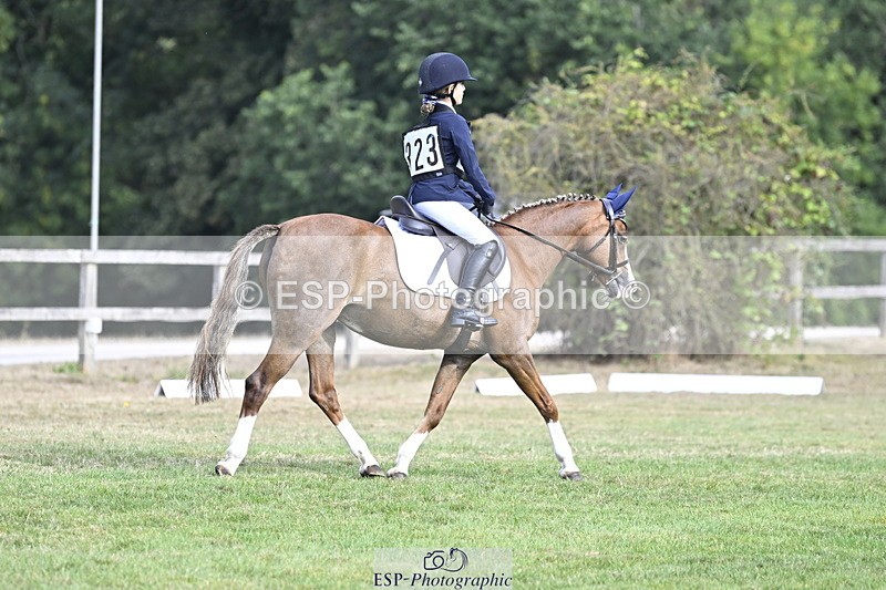 ZZZDeleted250821A-094215-13527_DR 900 to 1000 - 077-532-6304