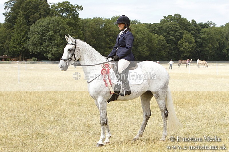 _BS_1020 - Working Hunter Championship BVRC Show 2018