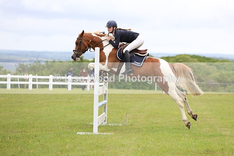 3E7A6706 - Class 10: Pony Newcomers/1m open