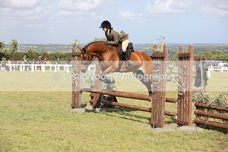 JPP_2619 - Class 20: Working Hunter 70cm