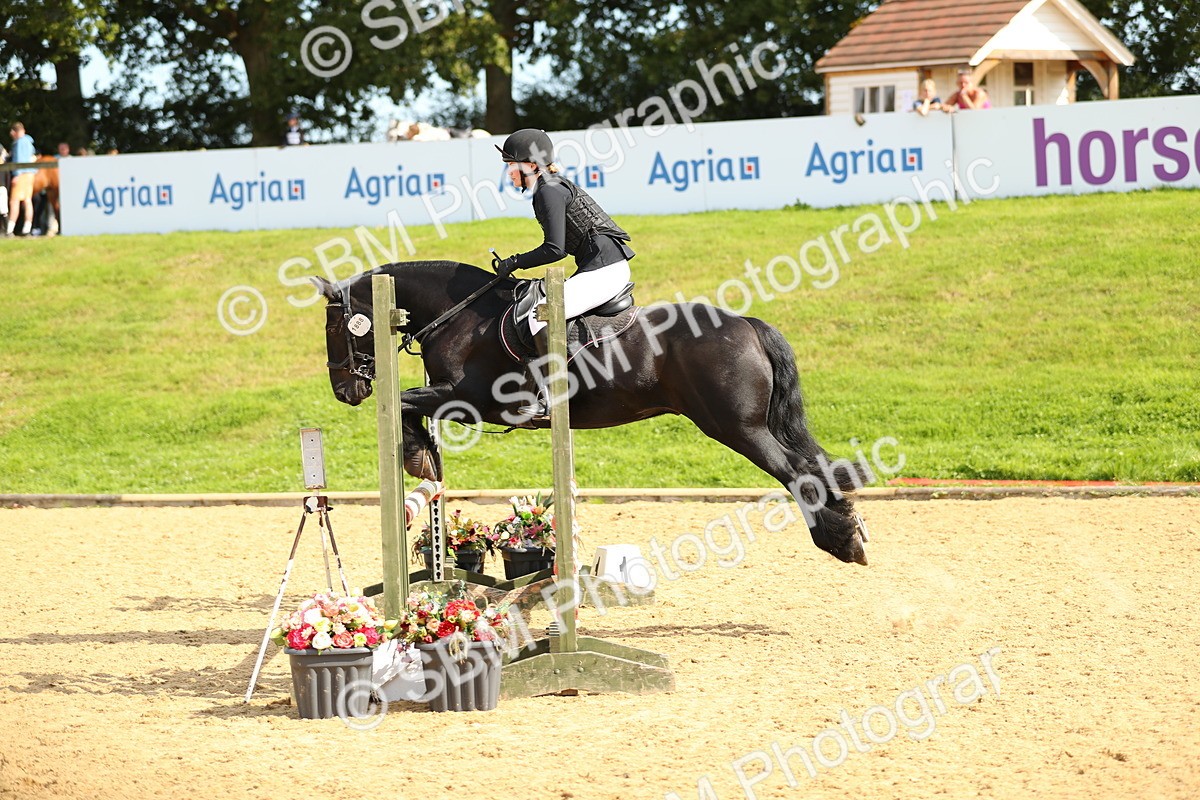 SBM_67302 - J17 - Junior Pony 80cm Championship
