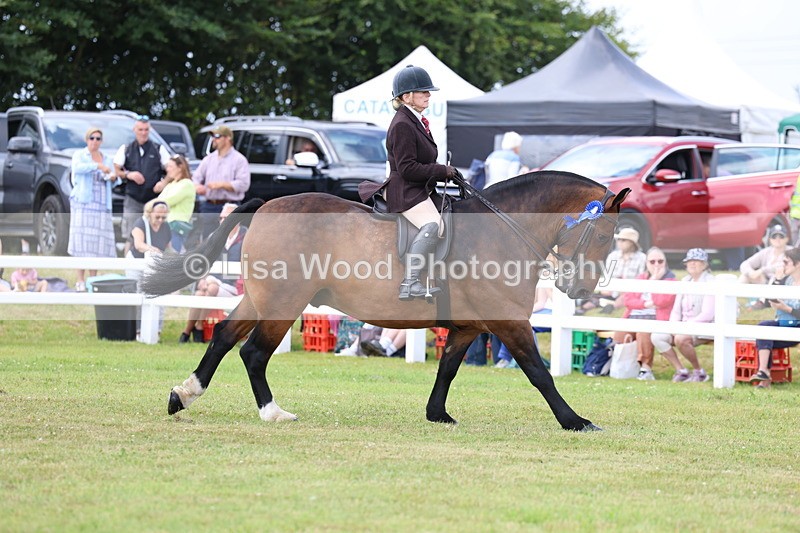 3E7A0525 - Rising Star Ridden Championship