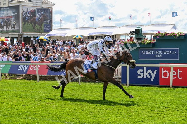 140625-Race 3-Al Qareem-2501 - Race 3 3.00pm Sky Bet Race To The Ebor Grand Cup Stakes