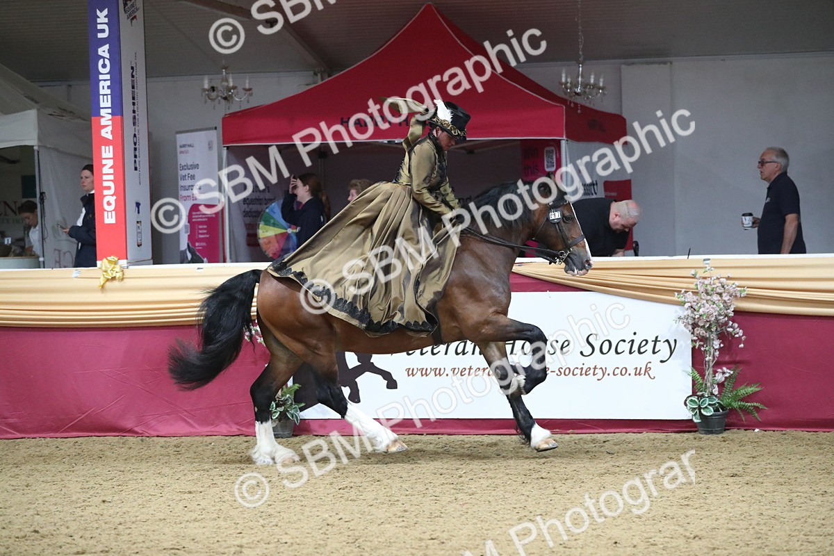 SBM_11995 - Class 106 Ridden Costume- Astride Adult (15-19)