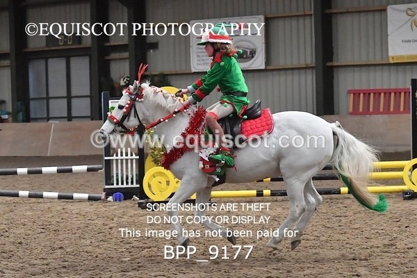 BPP_9177 - CLASS 4 50CM Novice Show Jumping