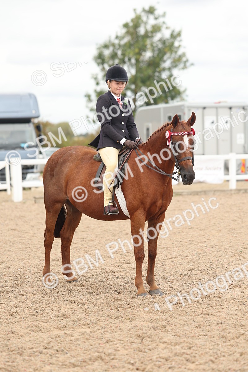 SBM_16033 - Class 311 - Ridden Show pony-Show hunter Pony