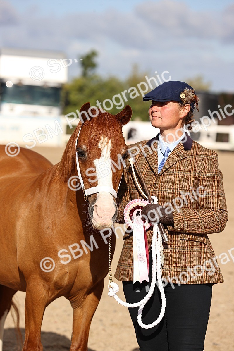 SBM_08550 - Class 402 - IH Veteran Pony