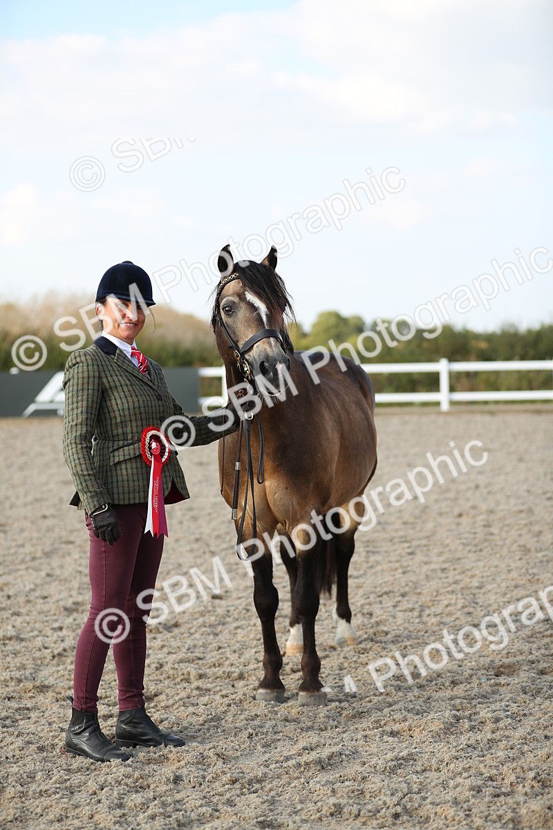 SBM_09084 - Class 29 IH Veteran Pony