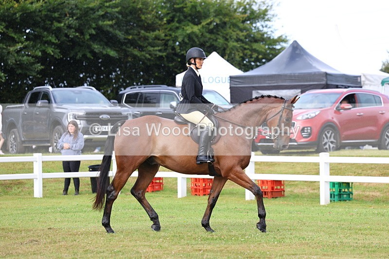 3E7A7995 - Class 2: Rising Star Large Hack/Riding Horse