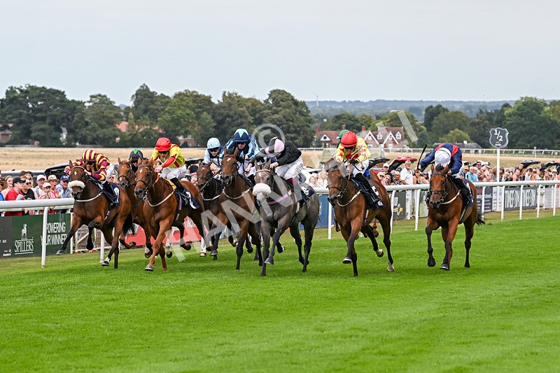 140825-Race 3-Rum Therapy-1022 - Race 3