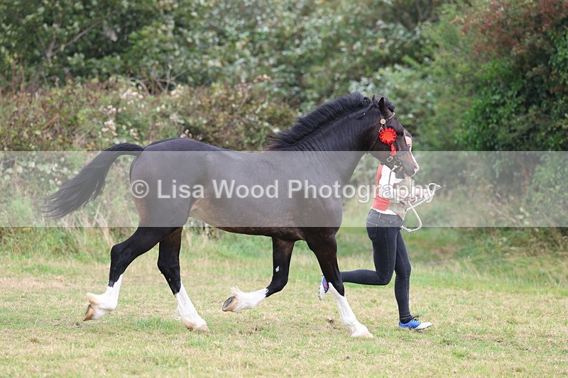 3E7A4281 - Class 15: Two Year Olds