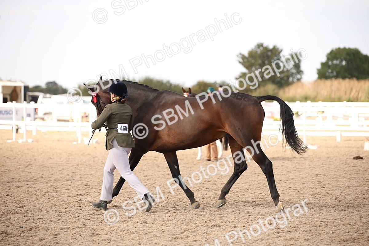 SBM_08208 - Class 27 - IH Competition Horse-Pony