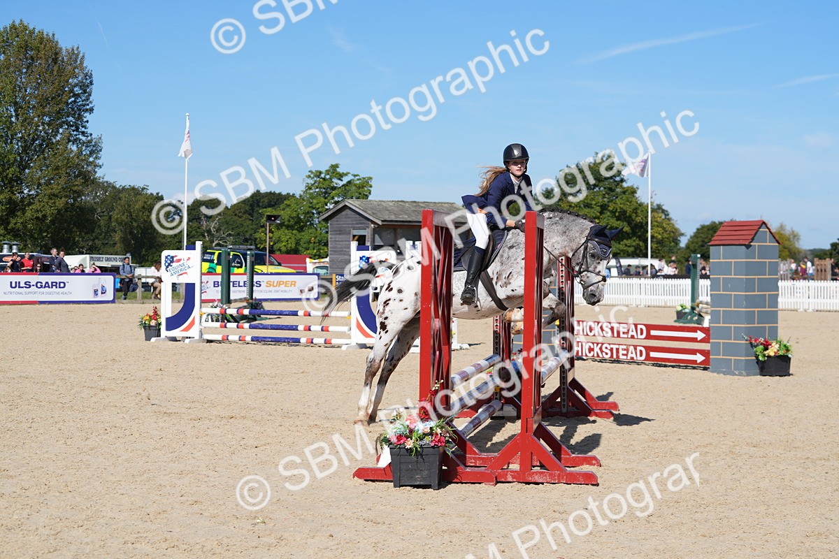 SBM_38697 - J21 - Junior Horse 60cm Championship