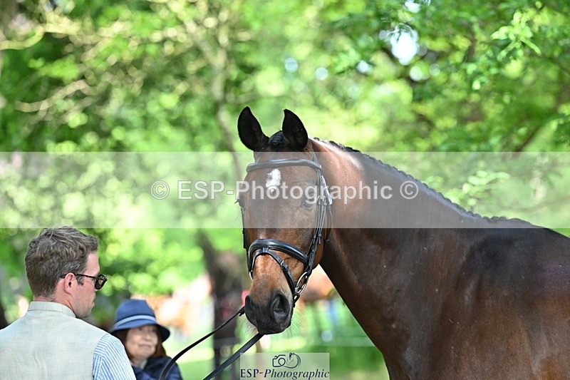 250521A-162549-01136 - C-222-Jason.Wood-NITOR