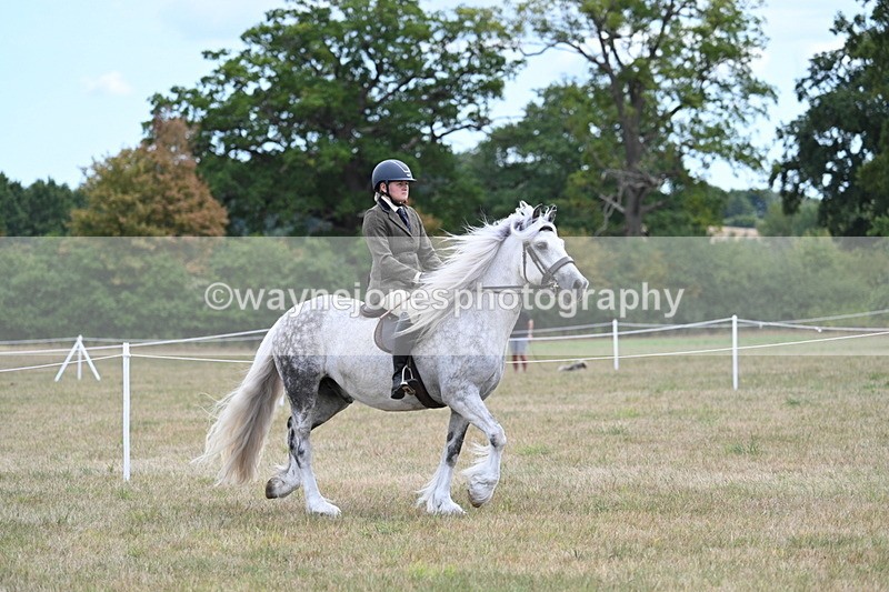 WJ7_4668 - Class 12 Ridden Cob