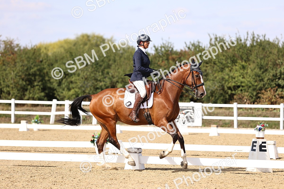 SBM_015209 - Class 8 - Medium 5