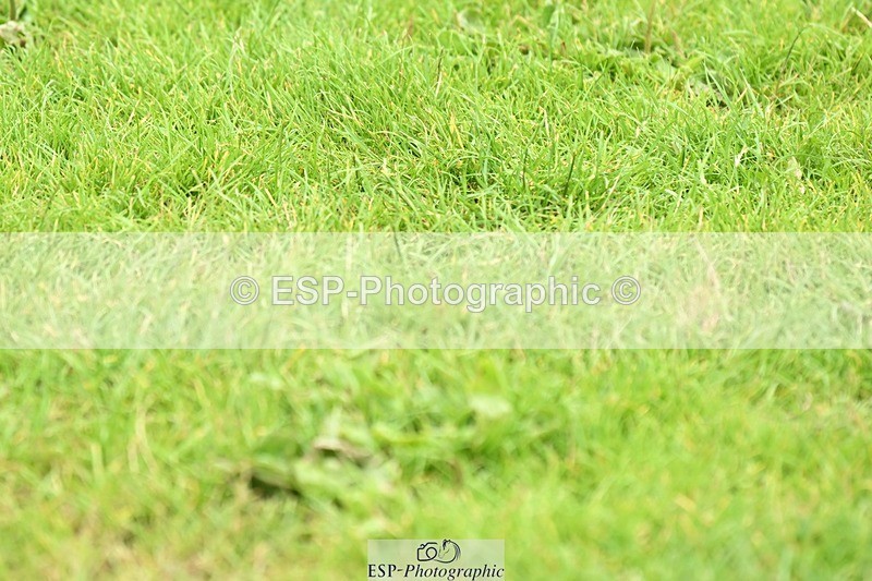 240713-131819-39392 - Cls 148 6 Yr Old Championships