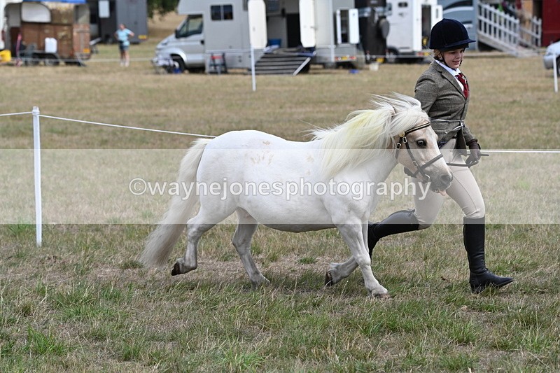 WJ6_5960 - Class 19 In-hand Veterans (Uploaded correct folder)