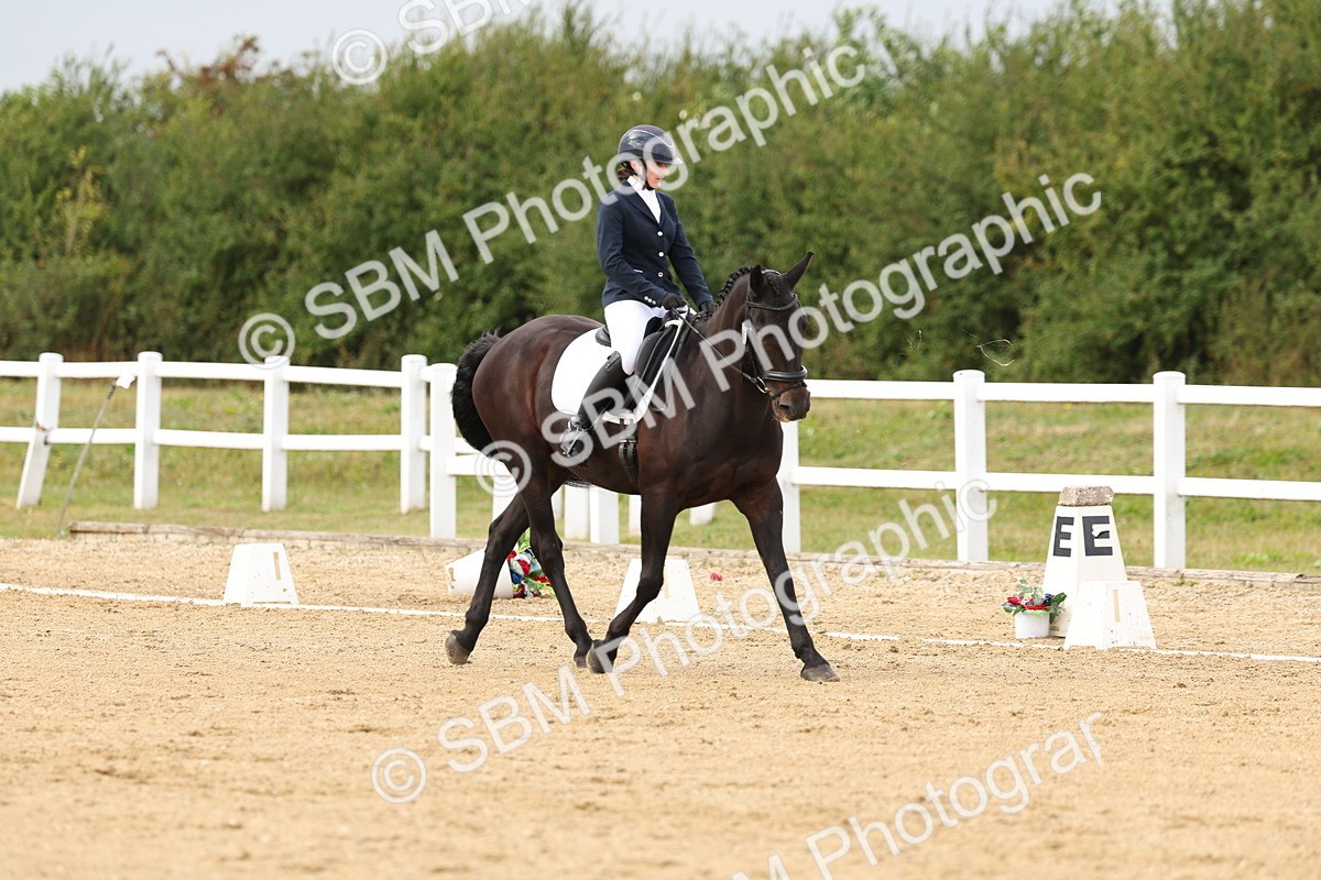 SBM_013819 - class 5 - Elementary 53 15.08-16.20