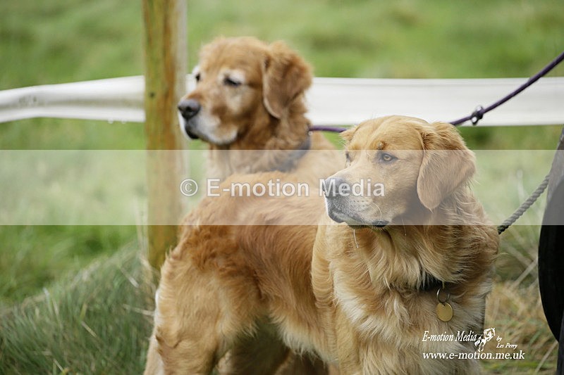 PtP 020122 267 - Larkhill Racing Club Point-to-Point 02/01/2022