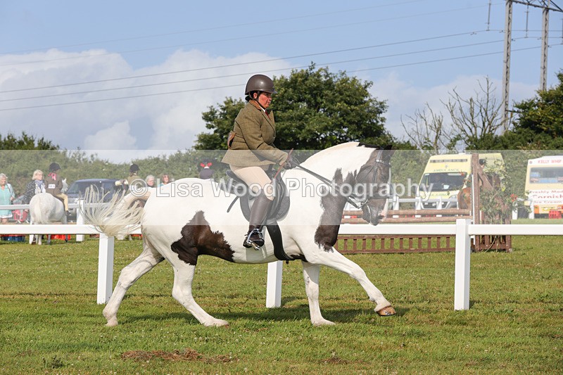 1X9A3230 - Class 28: Ridden Native/Trad Coloured Pony