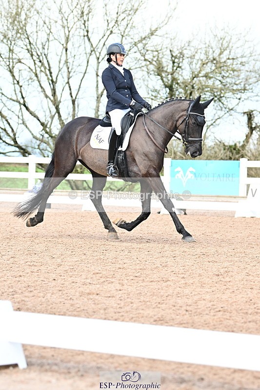 240218A-120036-06952 - 204-Elder.Klatzko-Dynasty.Hit