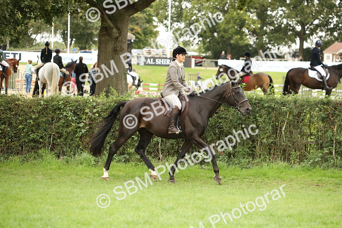 SBM_73801 - S41 - Ridden Equitation (Best Rider)