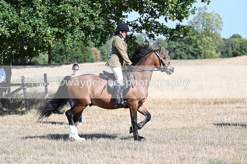 WJ7_3737 - Class 9 Mountain & Moorland Ridden