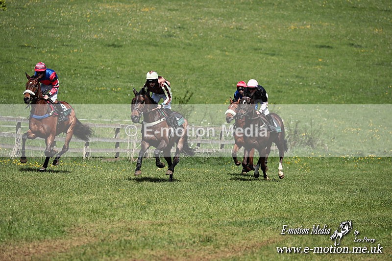 PtP 050525 131 - Mollington Races 05/05/25