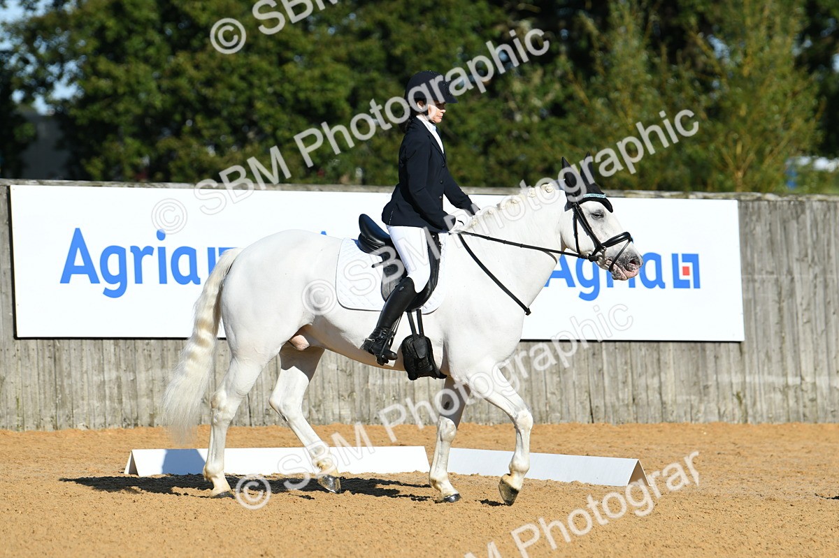 SBM_16109 - D4 - Small Tour Championship - Intro B