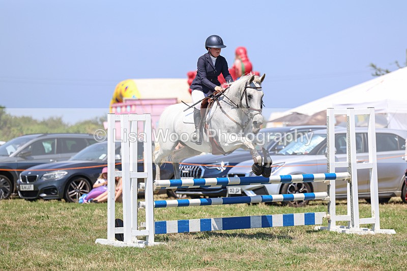 3E7A4393 - Class 10: Senior British Novice/90cm open