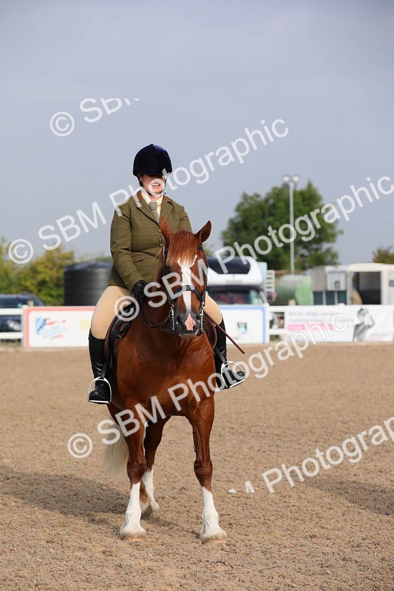 SBM_10132 - Class 302 Ridden M&M -Large Breeds